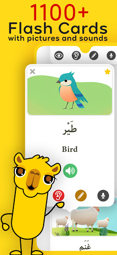 Screenshot Arabic Unlocked Learn Arabic