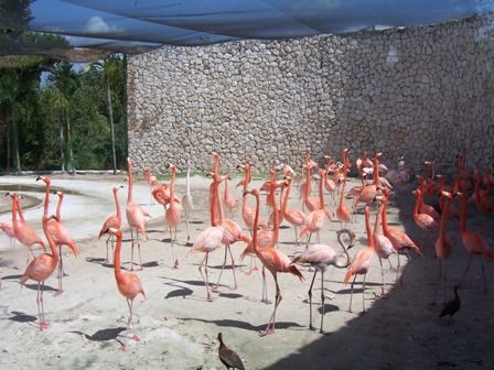 Os Parques Temáticos do Algarve