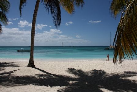 Ilha Saona