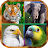صدای پرندگان و حیوانات icon