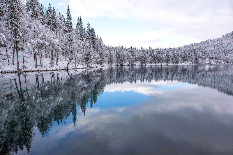 Paesaggio invernale di Peter_Sossi