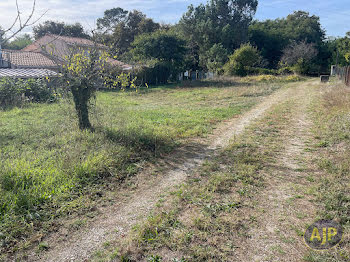 terrain à Le Taillan-Médoc (33)