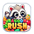 Racoon rush icon