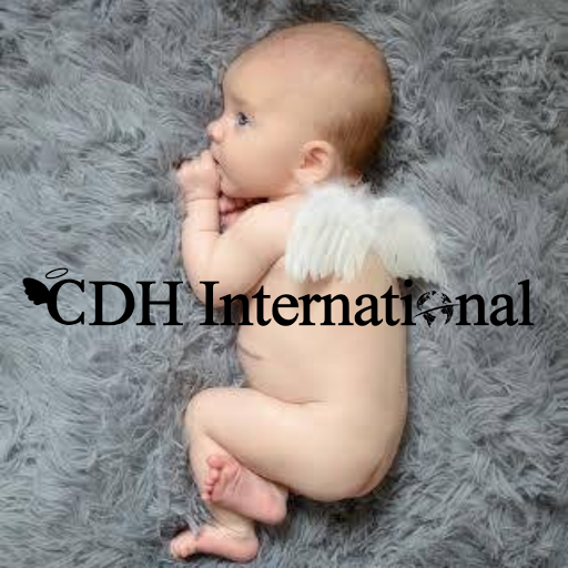 CDH International