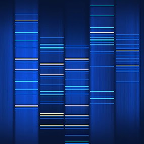 Computational Genetics Group