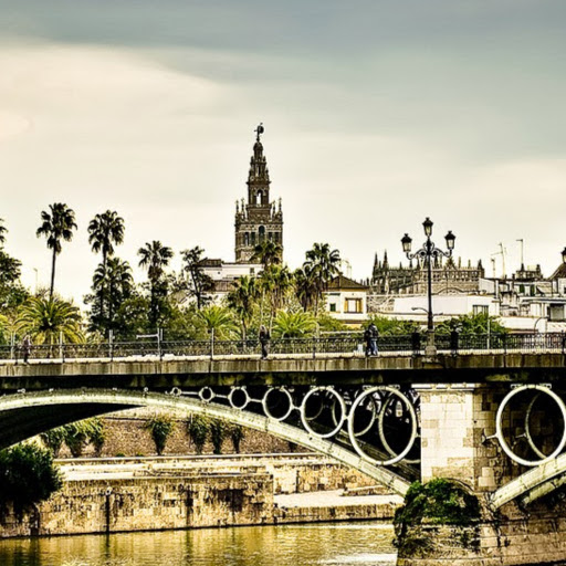 JOSE ANTONIO NAVARRO MARTINEZ