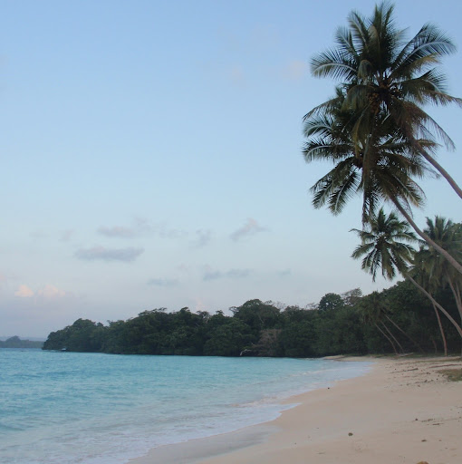 Charles Lambert's avatar