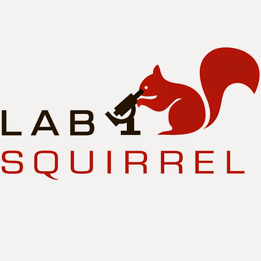 Lab Squirrel