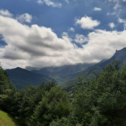 JIMENA ISABEL TATAY GASSO