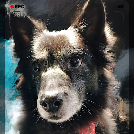 HackMD profile picture for @Karen