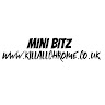 Mini Bitz