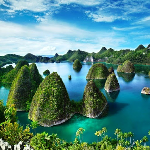 putri meiliawati profile icon