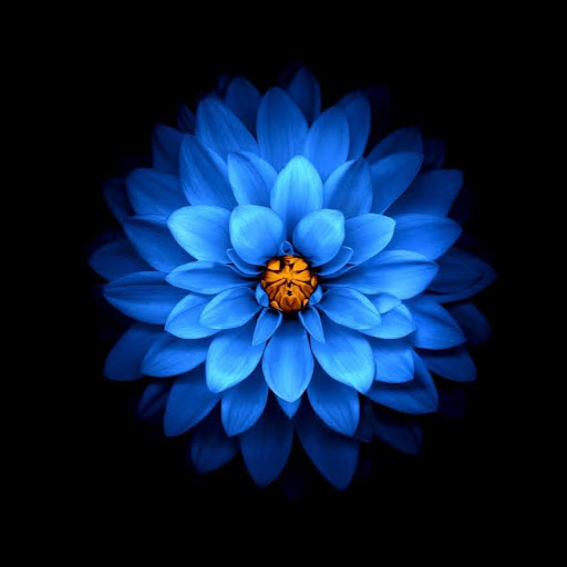 Newest Pi 4 Questions Raspberry Pi Stack Exchange - 