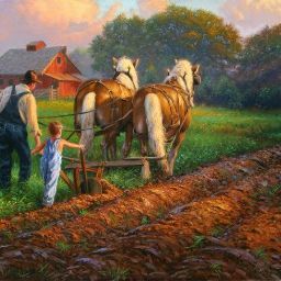 Avatar von Bauer Anton