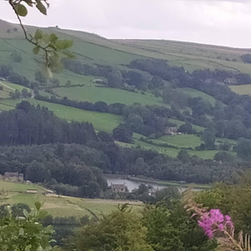 Aaue7mamdhtaf5rc1bnhxns19s150repflleraqpbvog