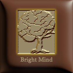 Bright Mind Coach