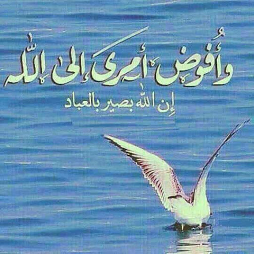احمد عبد القوي الجرف