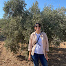 Writer: Sinem Bahadirli