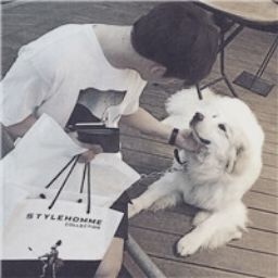 張小緯