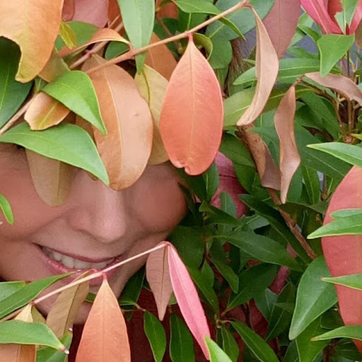 Footnote from a moment's avatar