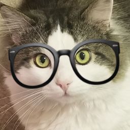 carolinehartkorn