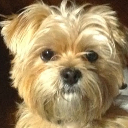 Deb Souther's avatar