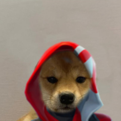 Image pertaining to KRYPTO ON PC