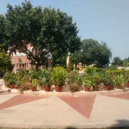 profile image of Sandhya