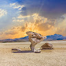 bolivia
