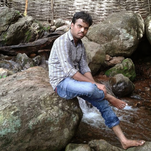 profile image of Raghavendra Kotla