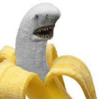 Neighborly Creativity