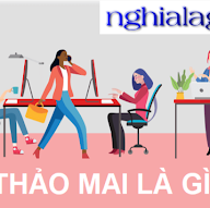 nghia la gi's user avatar