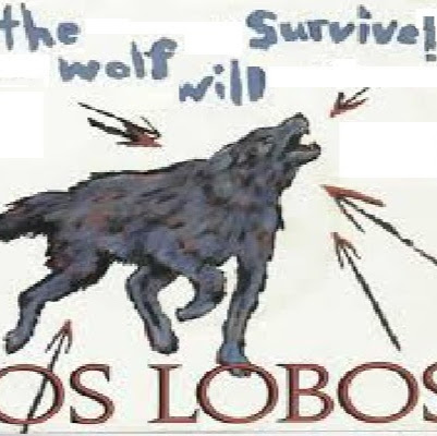 Warren Notes's avatar