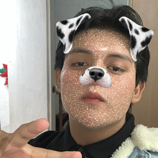 Diana Laura Gonzalez