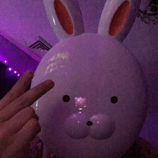 Image pertaining to RABBIT IN A MASK