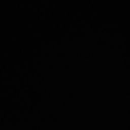 profile image of Ankitha