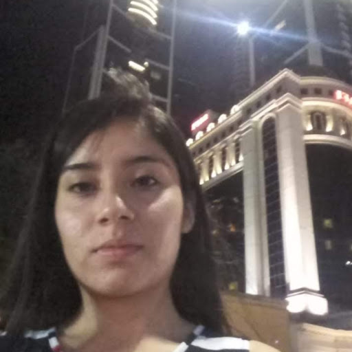 Paulina Gonzalez ArchDaily