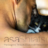 Foto do escritor: asa Shiatsu