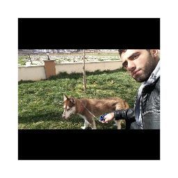 haci murad