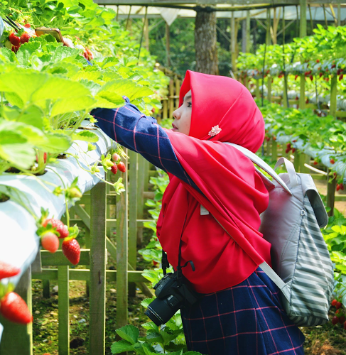 Halimah Tun syakdiyah profile icon