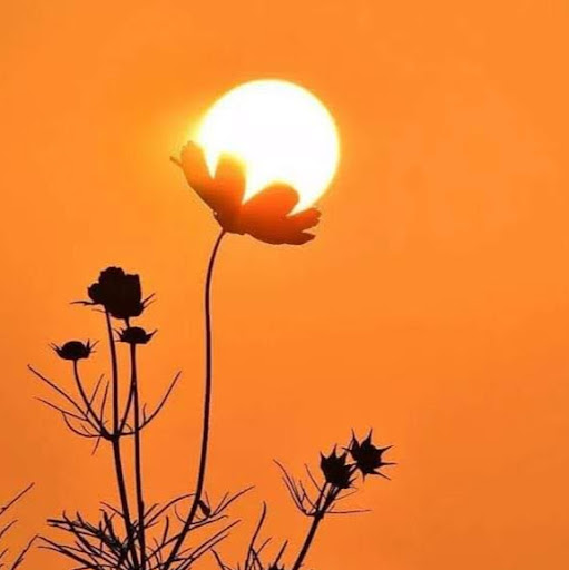 Nguyễn Duy Tuyến