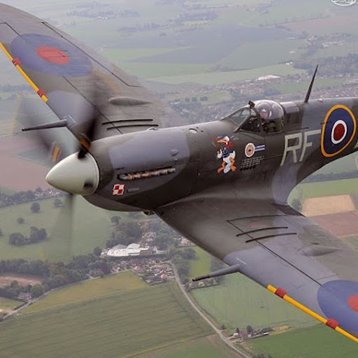 Avatar de Kaká Guimarães