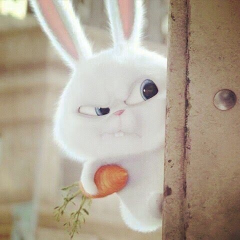 ๖ۣۜChỗ๖ۣۜDựa ๖ۣۜBình๖ۣۜYên