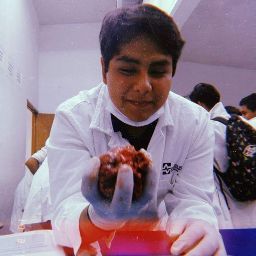 Luis Antonio Nopaltitla