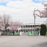 執筆者の写真: bantaikindergarten