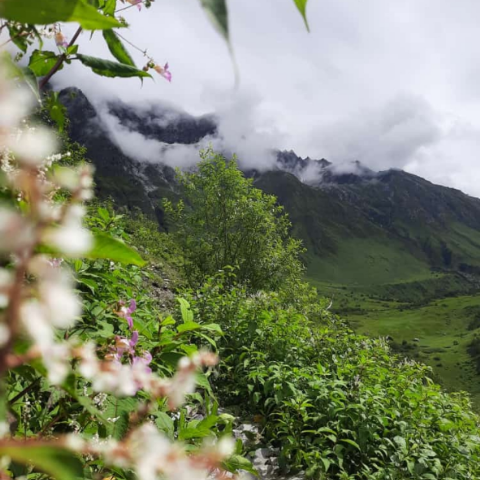 profile image of Sobiya sadaf