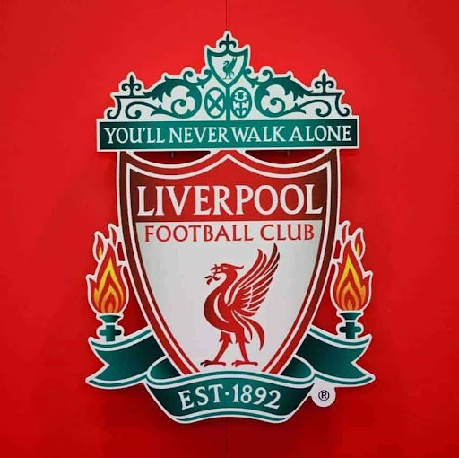 Ching-ChongTheFiestyChihuahua