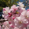 執筆者の写真: Elements.light&garden KONNO