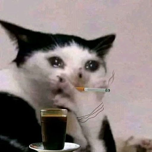 Image pertaining to VICACO DP