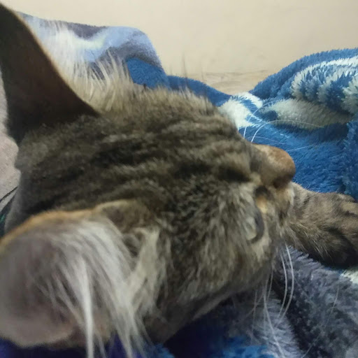 hight boys r.a.n R.A.N